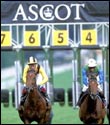 Royal Ascot Betting