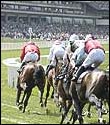 Royal Ascot Golden Jubilee Stakes Betting