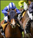 Royal Ascot Kings Stand Stakes Betting